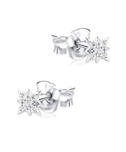Sparkle Stud Earring STS-6963